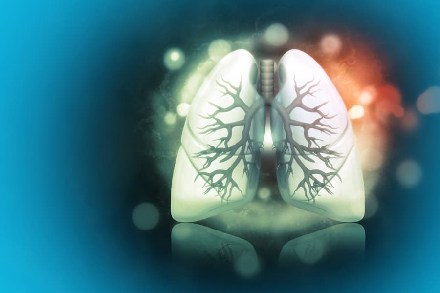 Human lungs placed over illuminated scientific background