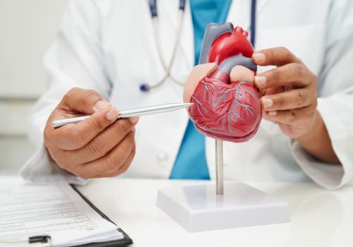 Keys to Empowering Your Heart for a Healthier Future
