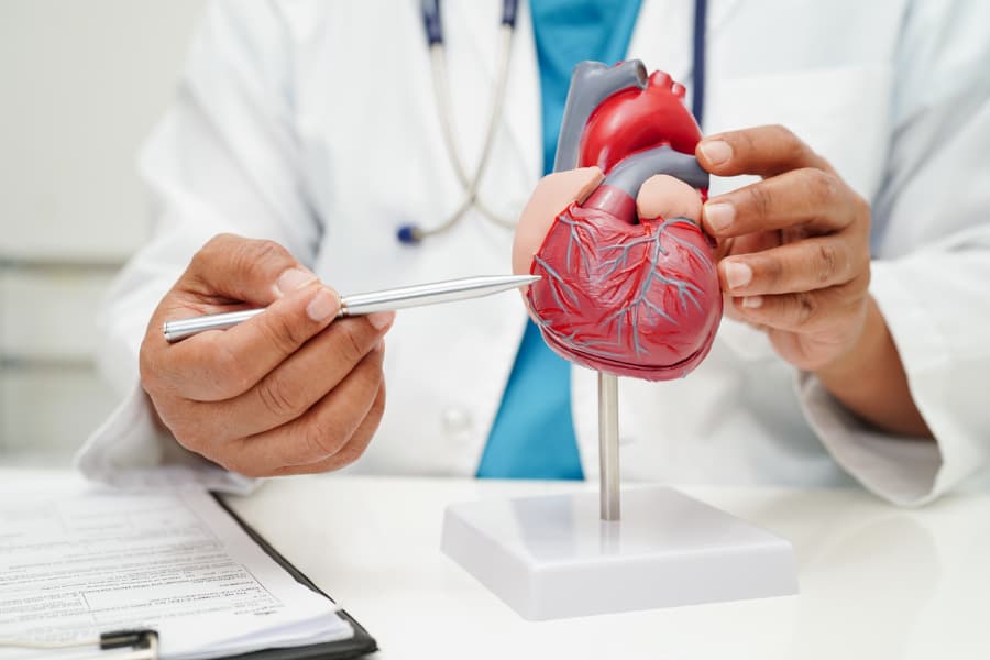 Doctor pointing to heart model with pen